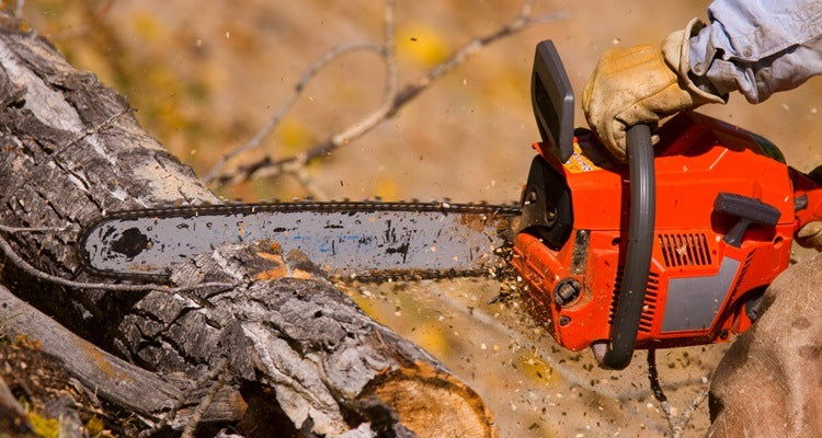 Chainsaw Safety Awareness