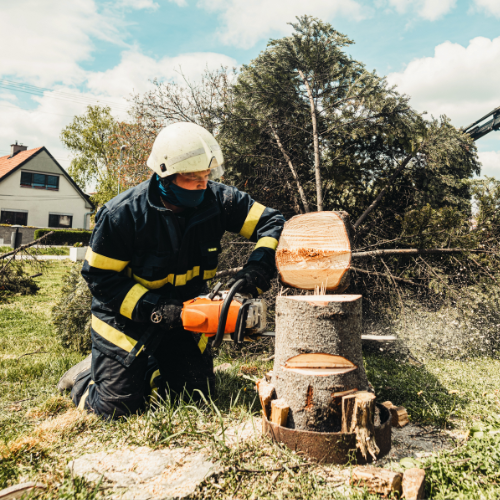 Chainsaw Safety Awareness